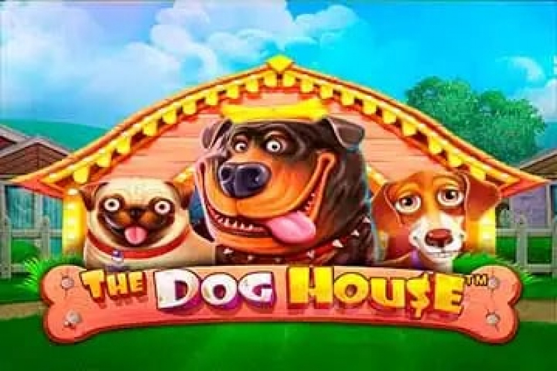 Dog House